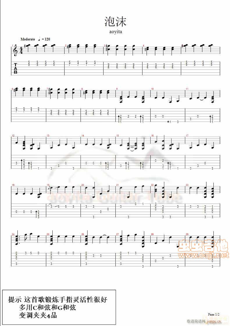 ��ĭָ��(���ָ��V)1