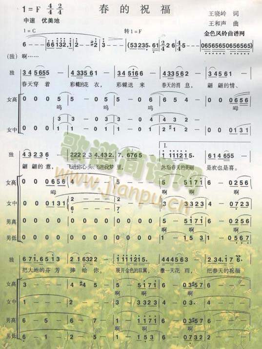 ����ף��(���ָ��V)1