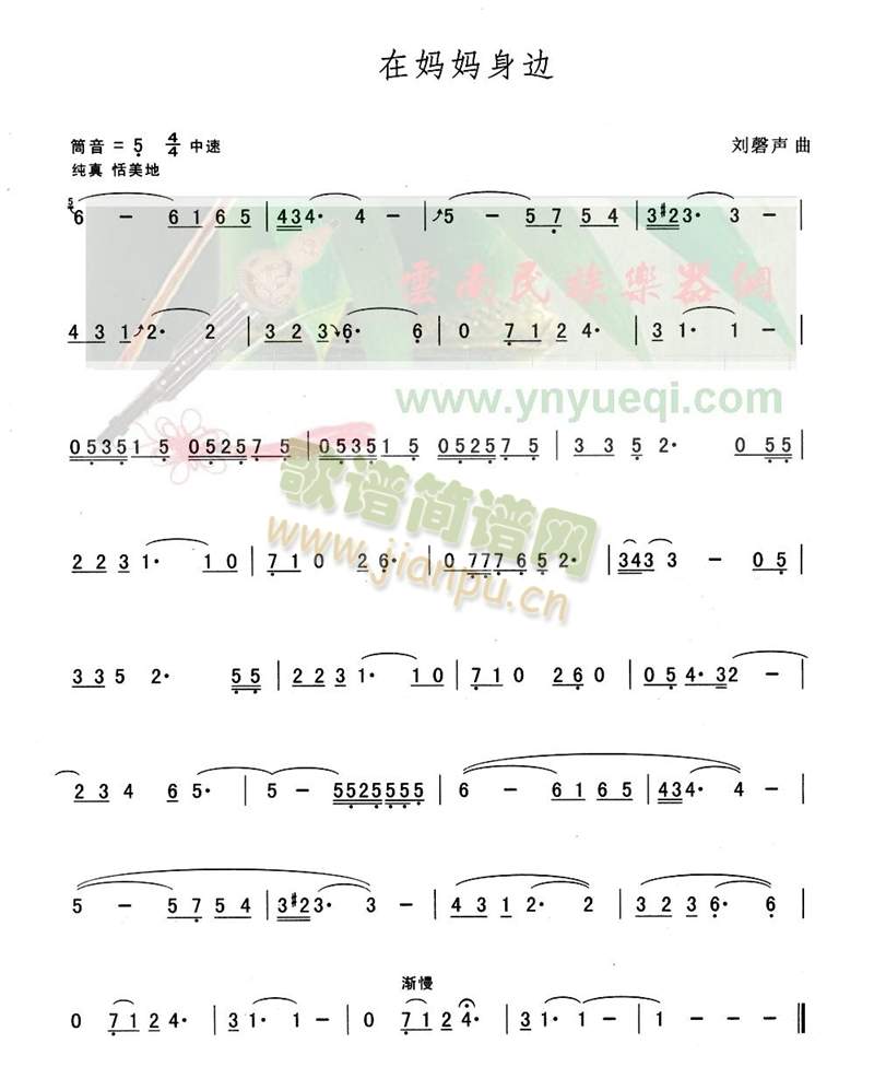 �ڋ�����߅(���J�z�V)1