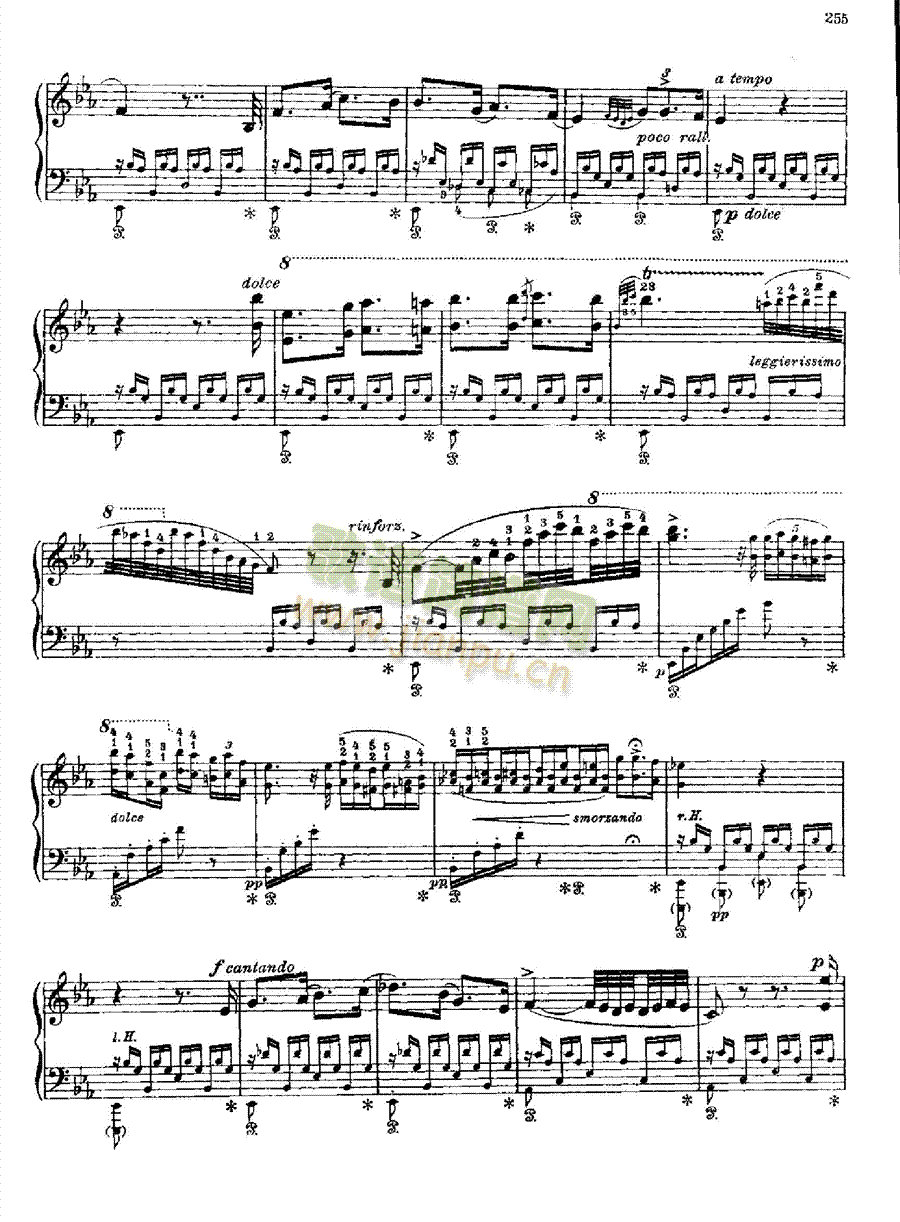 ���m�_�������I�P(p��n)�(l��i)���(����V)8