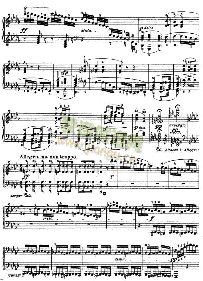 �������Q��-��Ʒ57̖-ؐ���(����V)19