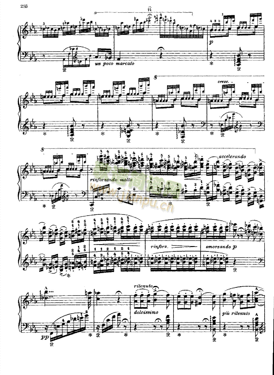 ���m�_�������I�P(p��n)�(l��i)���(����V)11