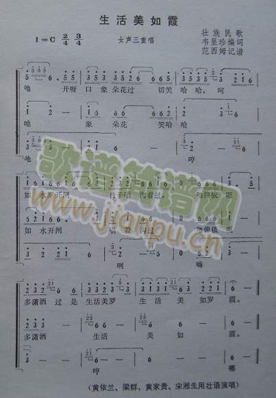 ��������ϼ(���ָ��V)1