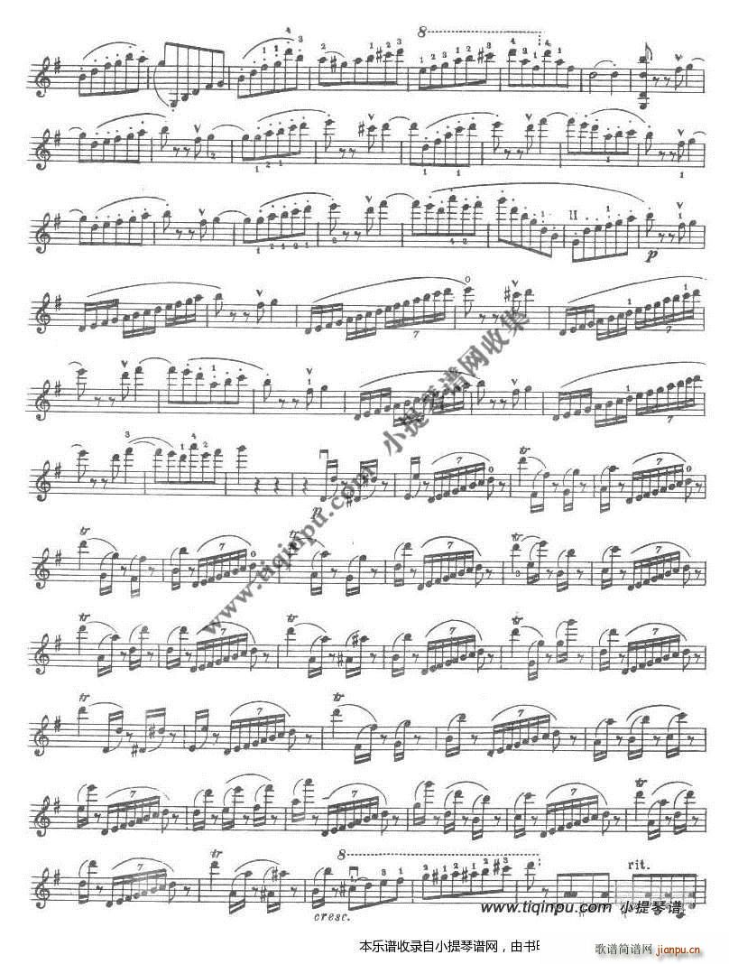 �_���_�� ������(���ָ��V)5