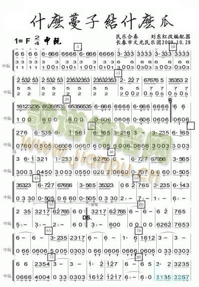 ʲô���ӽYʲô��������V(���V)1