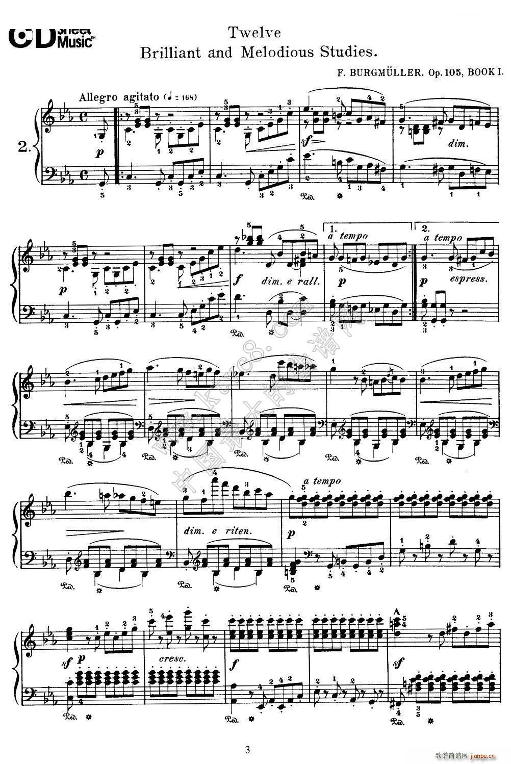 Burgmuller 12 Brillian and Melodious Studies(����V)1
