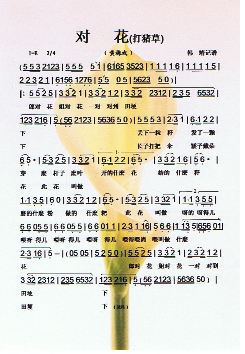 ���������V��(���ָ��V)1