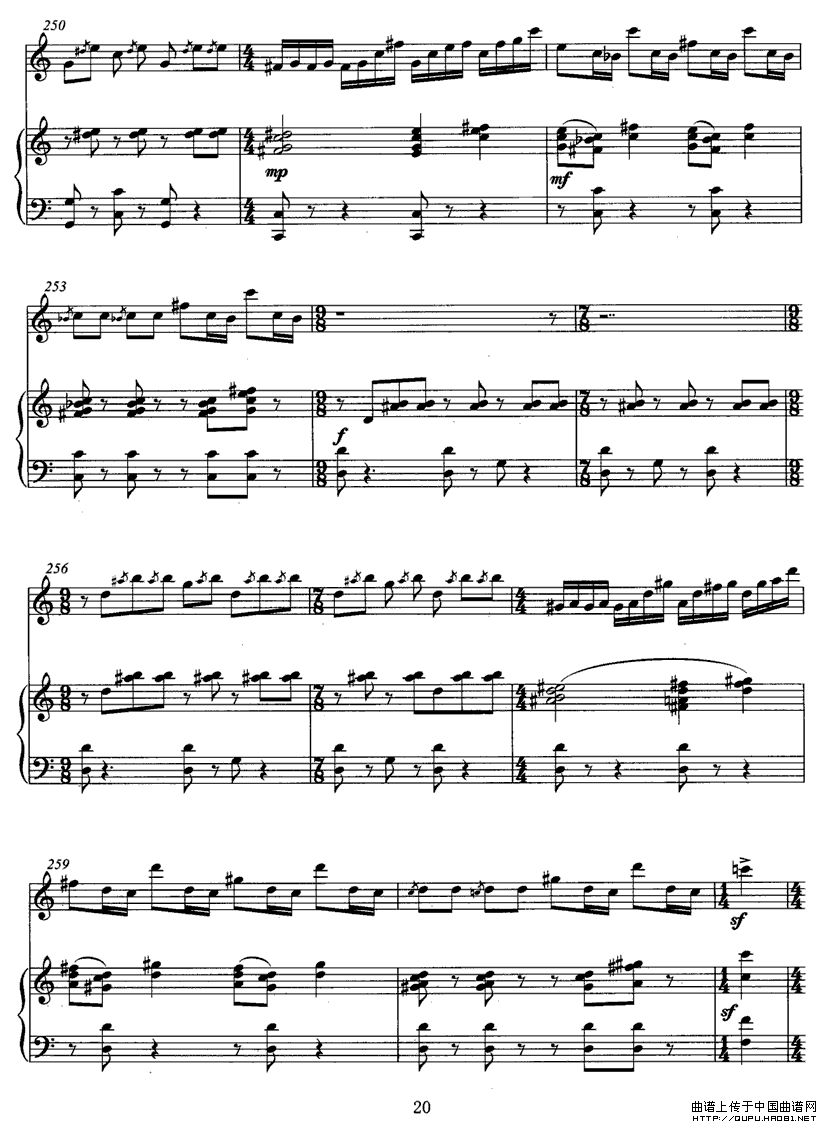 �w��P20(���ָ��V)1