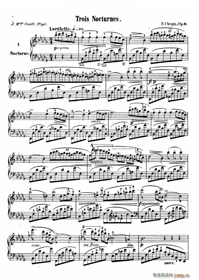 ҹ��No 1 Op 9 1 Op 9 1(ʮ�ּ�����)1