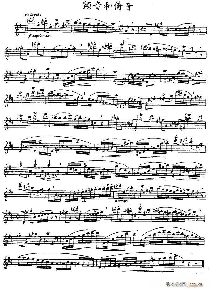 ���������(���ָ��V)1