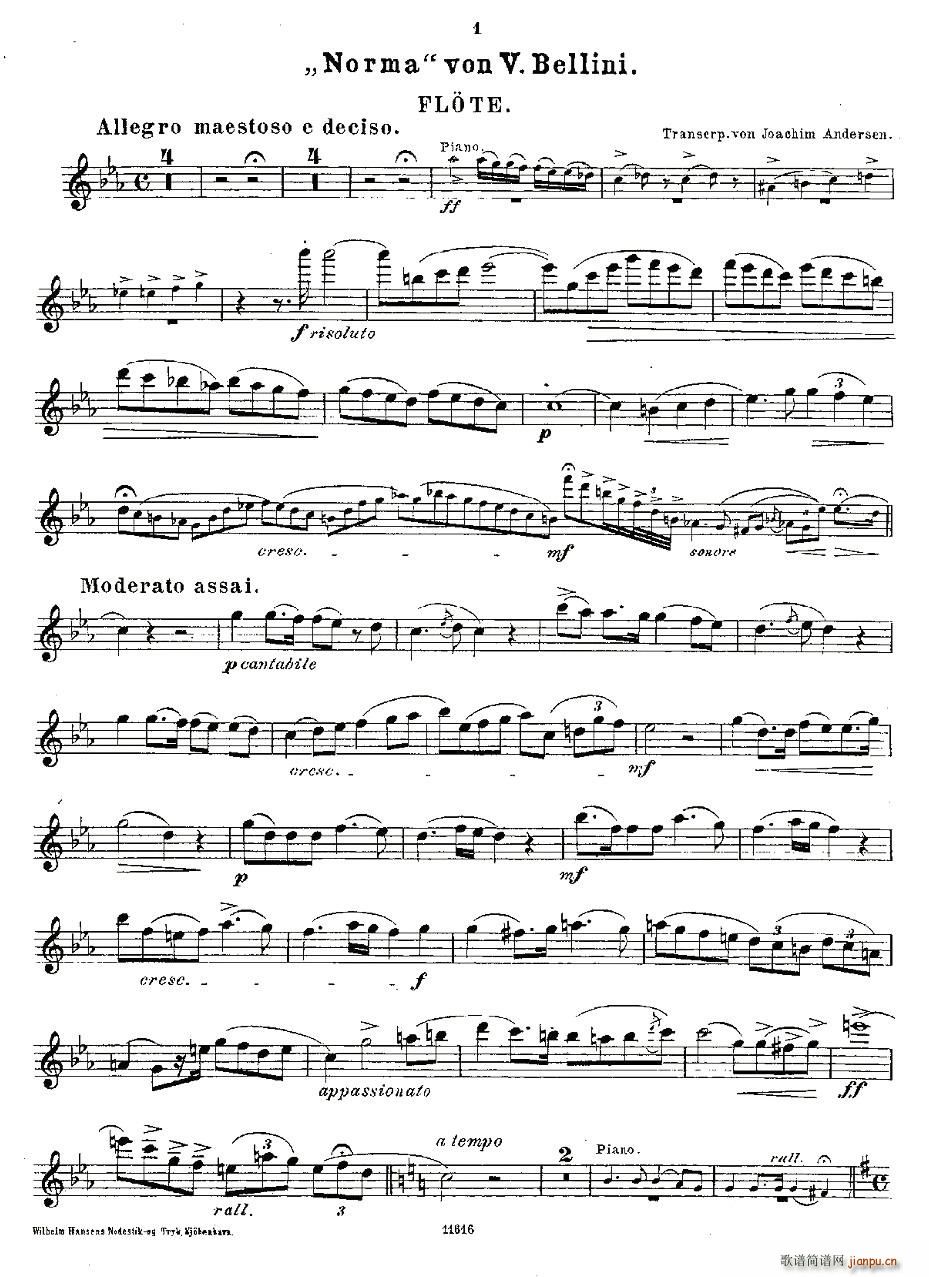 Opern-Transcriptionen.Op.45-2(�Ѻ��V)11