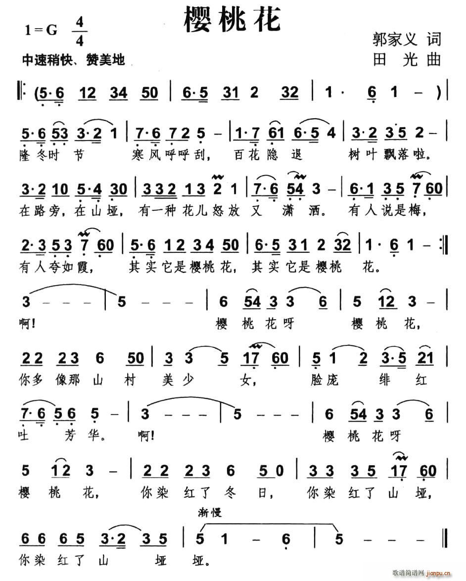 ���һ�(���ָ��V)1