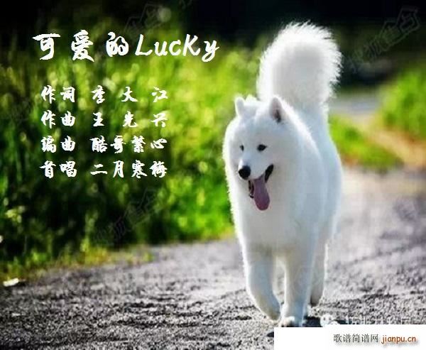 �ɐ�(��i)��Lucky(���ָ��V)1