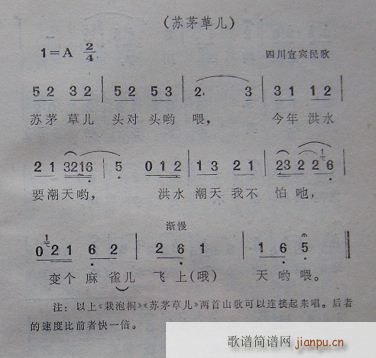 �Ké�݃�(�����V)1