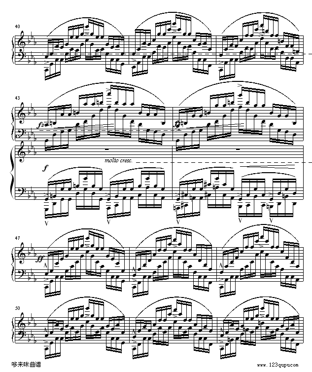 ������OP25No12-Ф��(����V)5