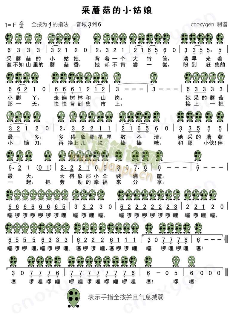 ��Ģ����С����(������(l�� )�V)1