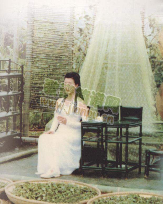 ��X�B����(���ָ��V)3