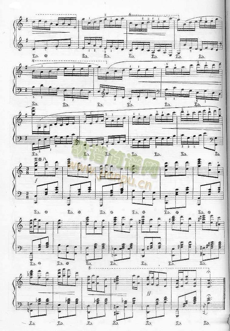 ꃱ�������}׃����(����V)5