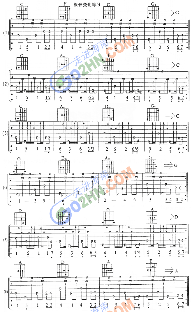 ָ������(�����V)1