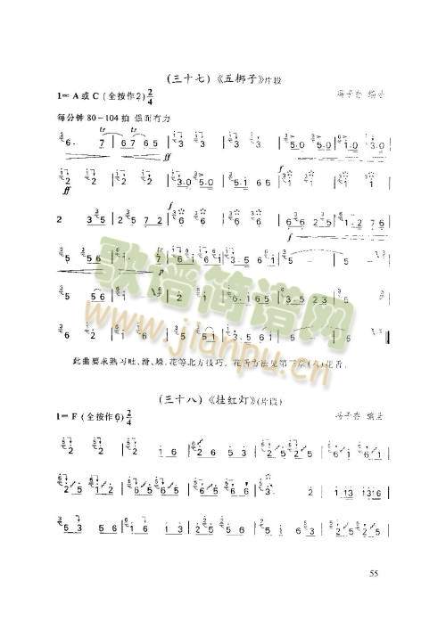 51-55�(y��)(����)5