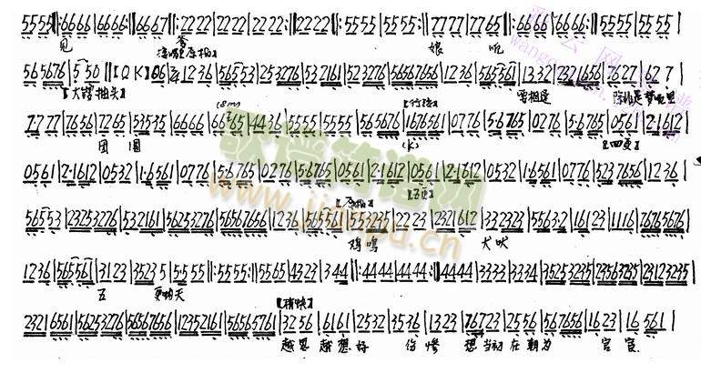 �����P(gu��n)(����)5