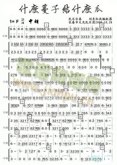 ʲô���ӽYʲô���к����V(���V)1