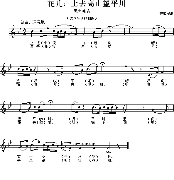 ����(���ָ��V)1