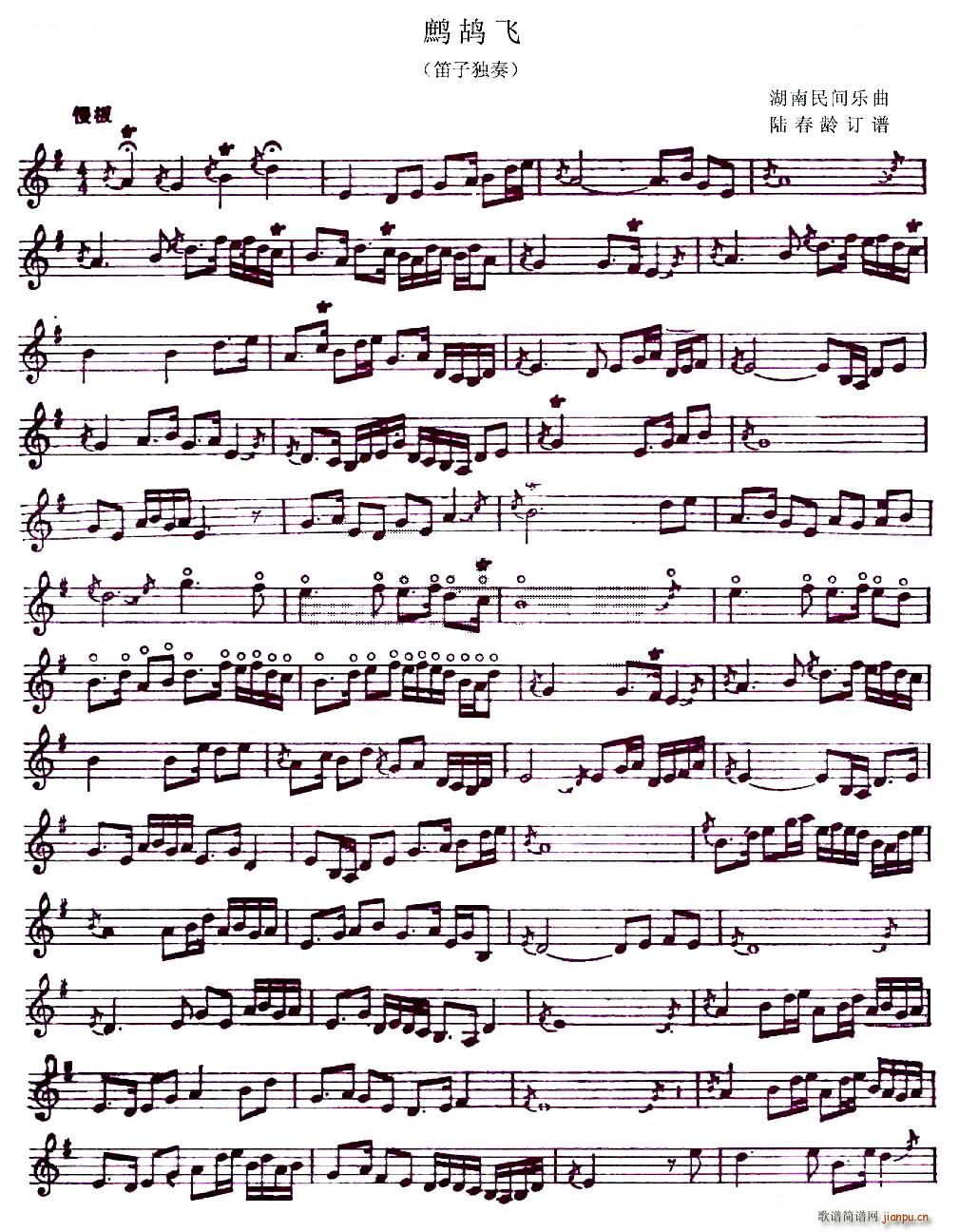 �p���w ꑴ��gӆ�V�� ��ʒ�V(�Ѻ��V)1