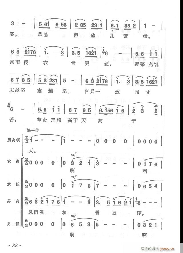 �t܊�����h���y  ���濂�V31-65(���V)12