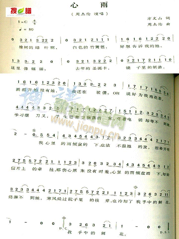 ����(���ָ��V)1