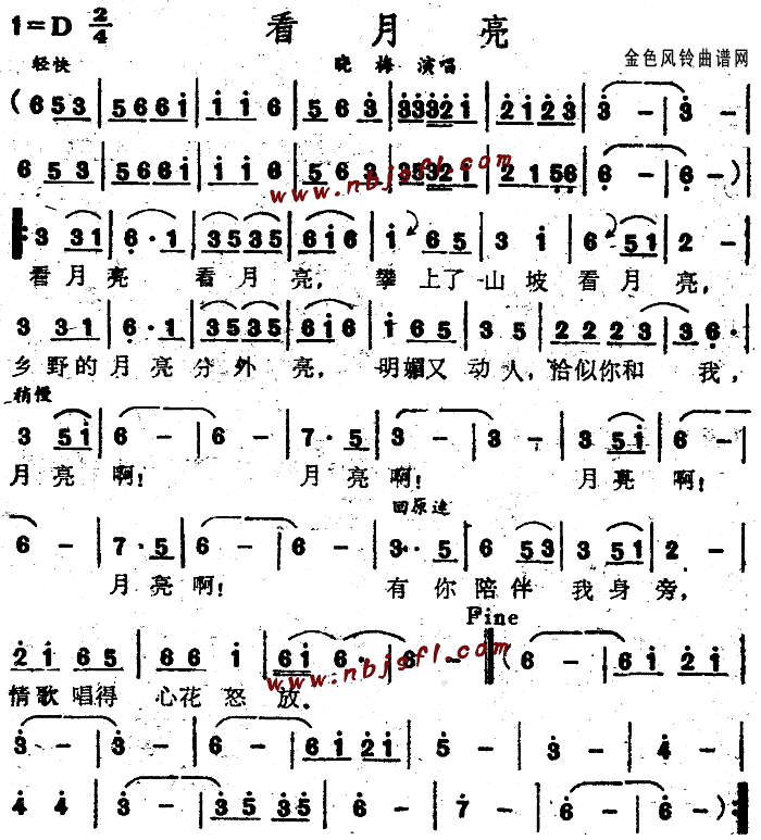 ������(���ָ��V)1