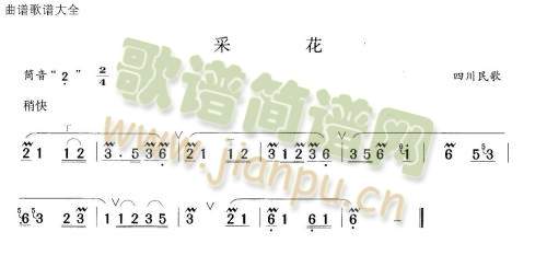 �ɻ�(��ʒ�V)1