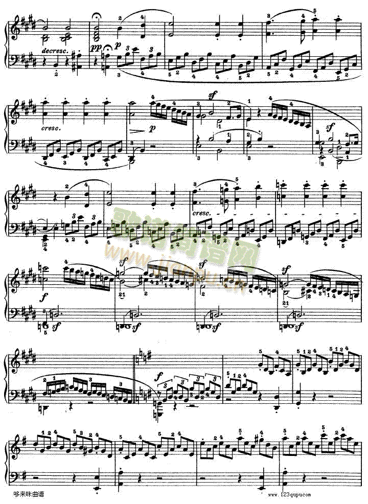 E���{�ھ�������Q����Op.14No��1-ؐ���(����V)10