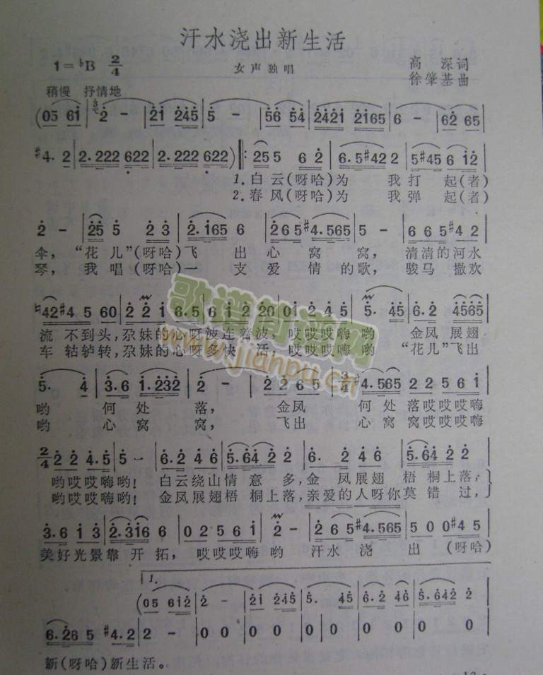 ��ˮ����������(���ָ��V)1