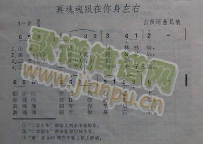 ���������������(���ָ��V)1