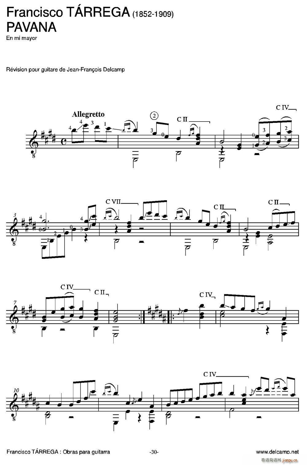 PAVANA �ŵ伪��(�����V)1