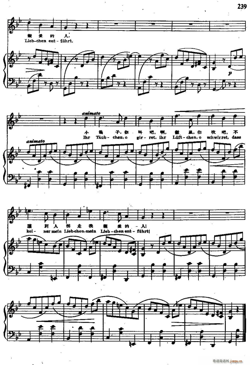 ȥ������(��i)�˵�·�� �����ׁ���� �����Č���(ʮ�ּ�����)7