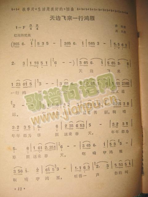 ��߅�w��(l��i)һ������(���ָ��V)1