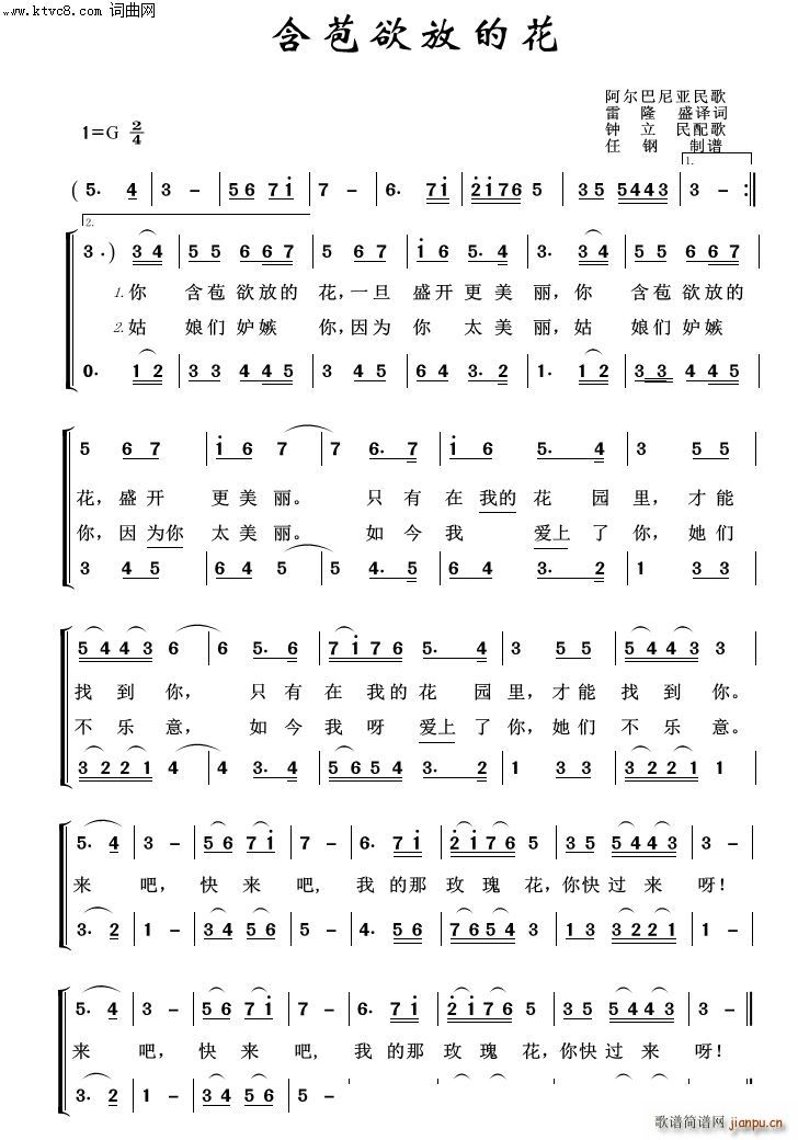 �������ŵĻ� �������100��(ʮ�ּ�����)1