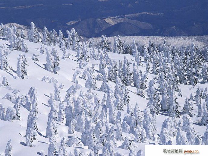 ���� �߈@�� ѩ(���ָ��V)6