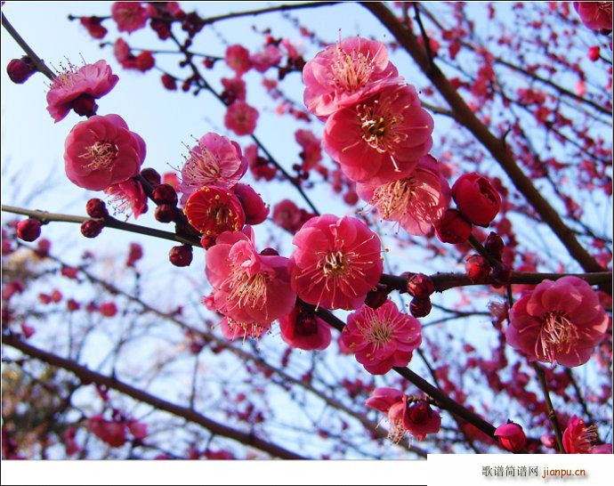 ���� ԁ÷ ��־��(���ָ��V)1