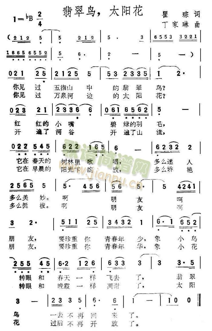 ����B(ni��o)��̫�(y��ng)��(���ָ��V)1