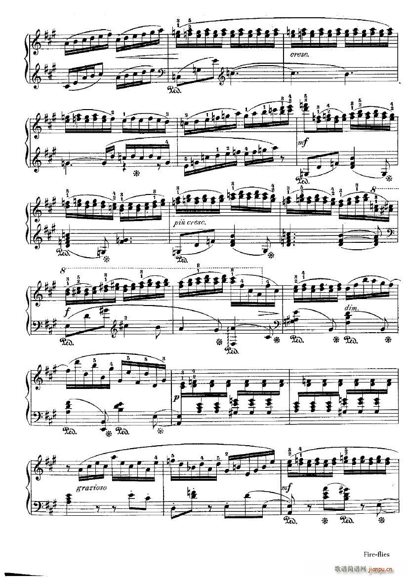 Beach Fire Flies(����V)6