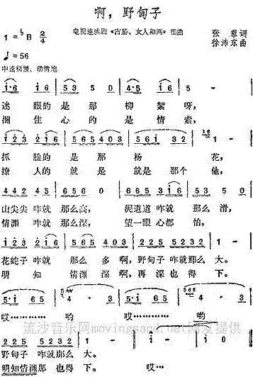 ����Ұ����(���ָ��V)1