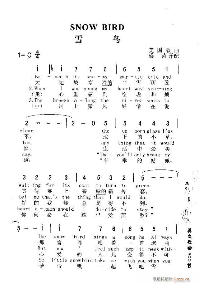 SNOW BIRD(���ָ��V)1