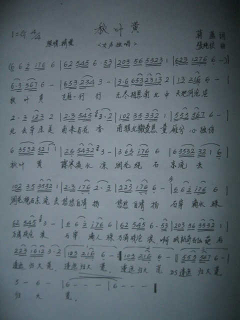 ���~�S.(���ָ��V)1