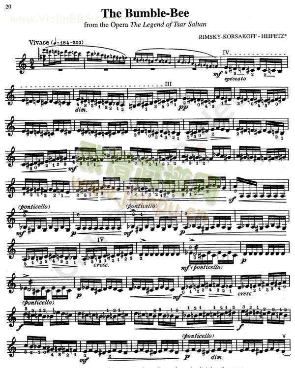 thebumble-bee(����V)1