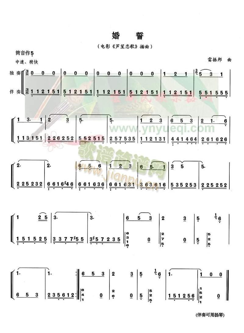 ����(���J�z�V)1