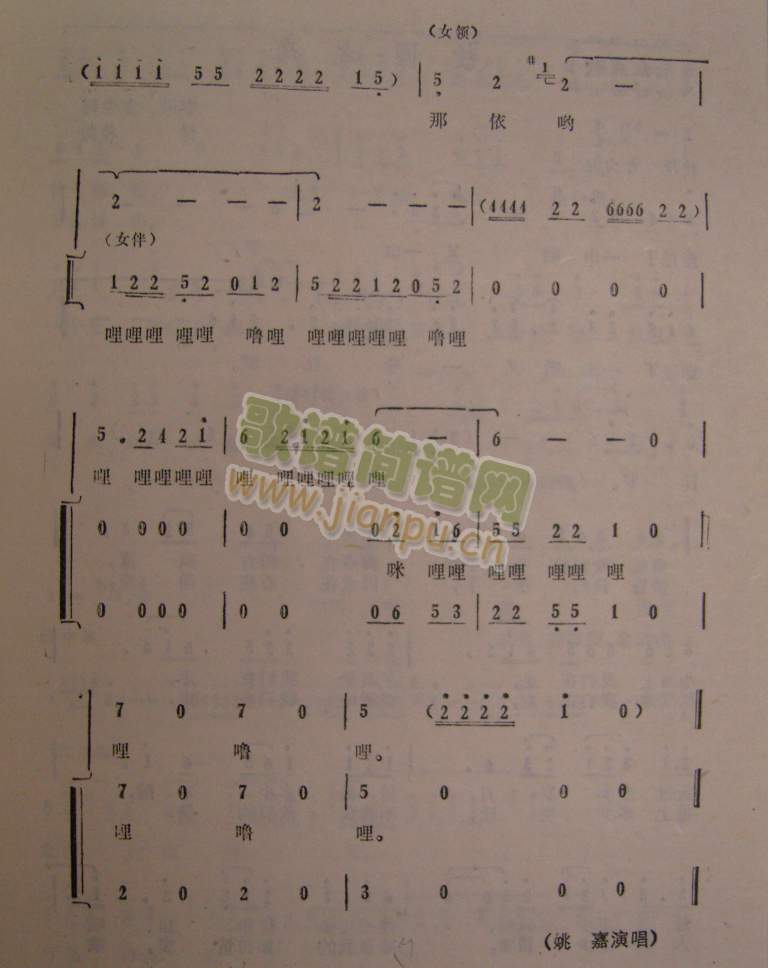 ������(���ָ��V)5