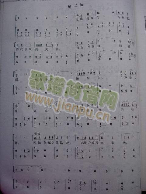 ����ʮ����(�Ź~�P���V)3